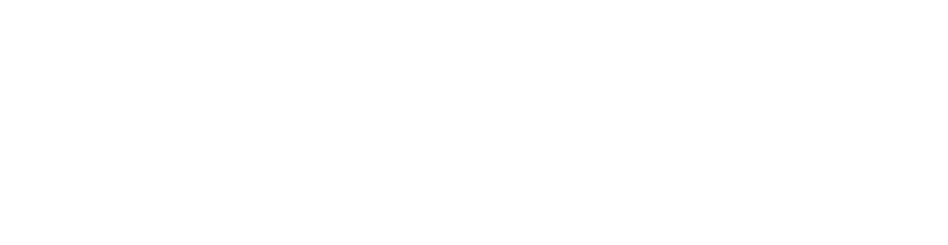 Designik